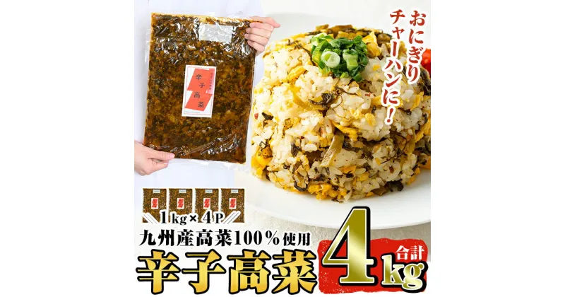 【ふるさと納税】九州産辛子高菜セット4kg(1kg×4パック) 国産 九州産 たかな 漬物 漬け物 ご飯のお供 おかず おつまみ おにぎり 常温 常温保存 楽天限定 期間限定【九州新進】