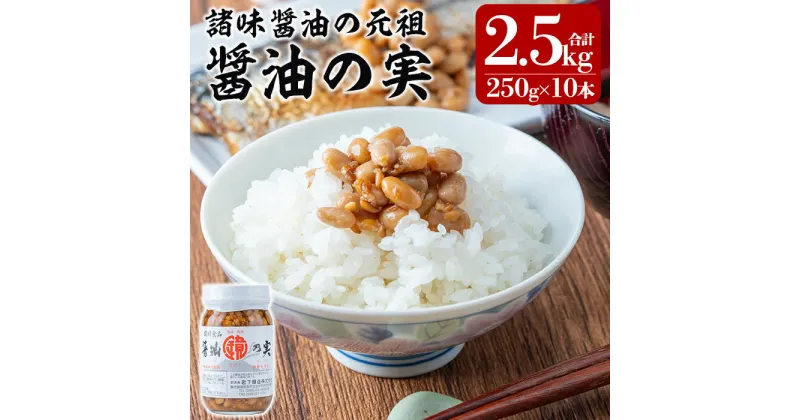 【ふるさと納税】醤油の実(2.5kg・250g×10本) もろみ 諸味 ご飯のお供 おかず 大豆 発酵食品【岩下醸造】