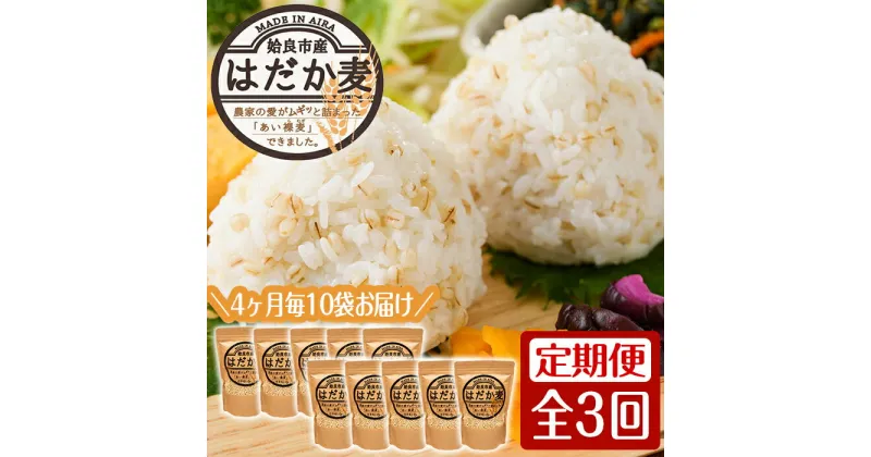 【ふるさと納税】《数量限定・定期便全3回》姶良市産はだか麦(計12kg・400g×10袋×3回)(4ヶ月おきのお届け)国産 姶良市 ご飯 麦ごはん はだか麦 穀物 食物繊維 小分け 【竹之内穀類産業】