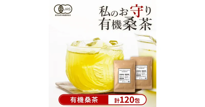 【ふるさと納税】国産！わくわく園有機桑茶・計120包(2g×60包・2袋)桑の葉 有機 桑茶 桑 桑の葉茶 お茶 ティーバッグ ティーパック ノンカフェイン くわ 茶 九州産【わくわく園】