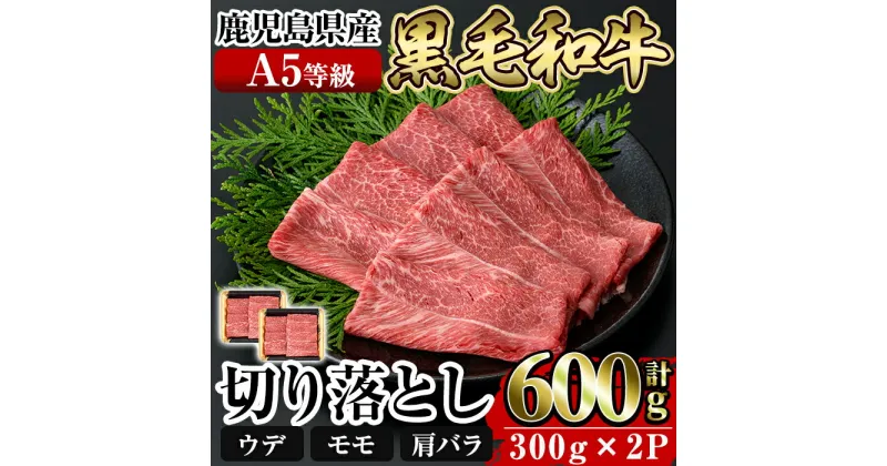 【ふるさと納税】≪A5等級≫鹿児島県産黒毛和牛切り落とし計600g(300g×2P) 国産 肉 牛肉 牛 黒毛和牛 切落し 切り落とし ウデ モモ 肩バラ【水迫畜産】