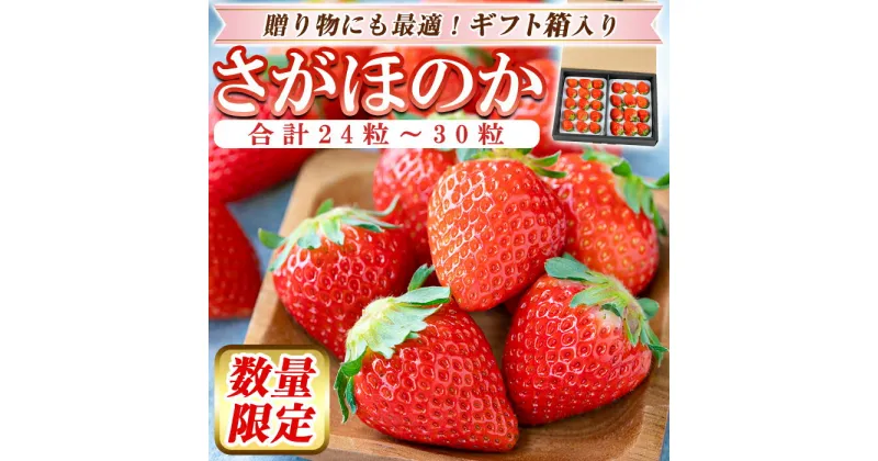 【ふるさと納税】＜先行予約受付中！2025年2月上旬〜3月下旬に発送予定＞ いちご・さがほのか(合計24粒〜30粒)国産 鹿児島県産 苺 イチゴ フルーツ 果物 くだもの ギフト 贈答用【佳農園】