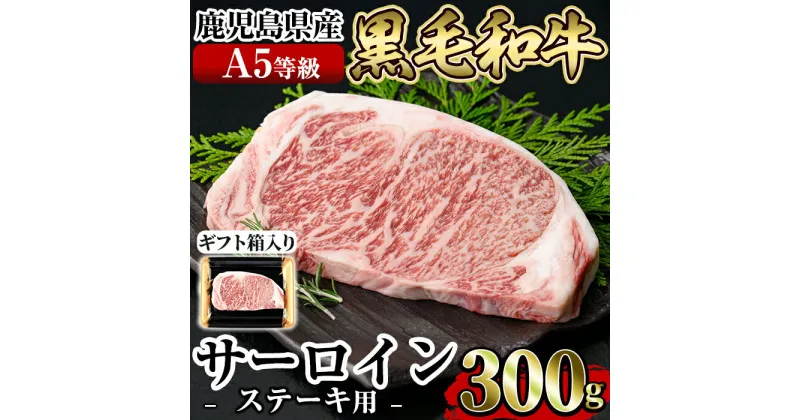 【ふるさと納税】≪A5等級≫鹿児島県産黒毛和牛サーロイン(300g) ギフト箱入り！国産 肉 牛肉 牛 黒毛和牛 ステーキ【水迫畜産】