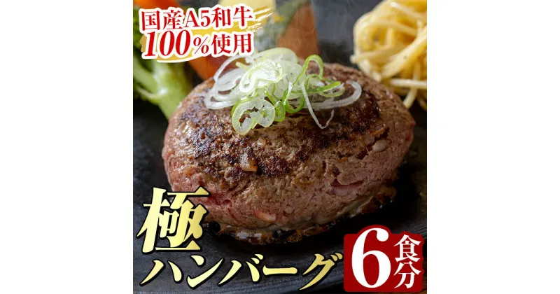 【ふるさと納税】生食感ハンバーグ！やまさきの焼肉A5ランク極ハンバーグ150g×6袋(合計900g)国産 肉 牛 牛肉 総菜 冷凍ハンバーグ おかず 簡単 冷凍 個包装 小分け 一人暮らし 牛100%【やまさき】