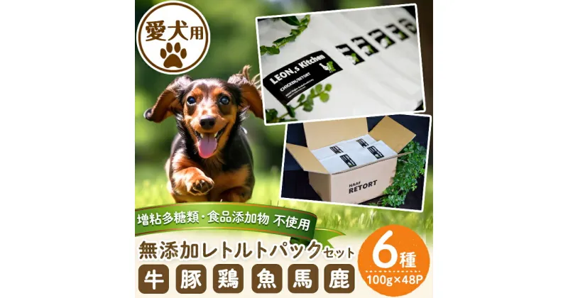 【ふるさと納税】＜増粘多糖類・食品添加物不使用＞愛犬用無添加レトルトパックセット6種(100g×48パック)牛肉 豚肉 鶏肉 魚 馬肉 鹿肉 野菜 犬用 フード 動物 犬 ドッグ ペット 餌 エサ おやつ ごはん ご飯 間食 ご褒美 ペット関係 常温 常温保存【Nフードサービス】