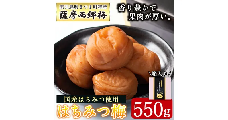 【ふるさと納税】薩摩西郷梅はちみつ梅(550g) 箱入り はちみつ まろやか 南高梅 梅干し うめぼし 粒 大きい 贈答 ギフト 常温【薩摩西郷梅生産組合】