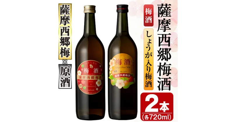 【ふるさと納税】《毎月数量限定》薩摩西郷梅酒2本セット(梅酒、しょうが入り梅酒720ml各1本) 鹿児島 アルコール 酒 梅酒 飲み比べ セット 生姜 しょうが ロック お湯割り ソーダ割【鹿児島マテリアル】