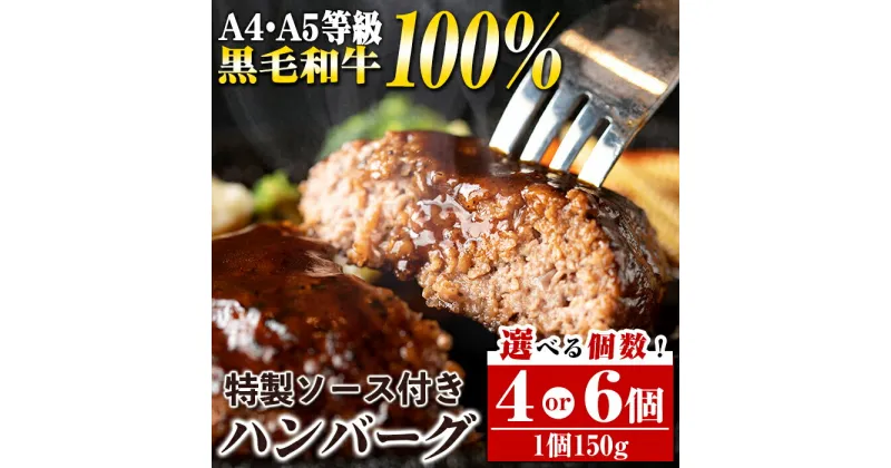 【ふるさと納税】＜個数が選べる！＞A4・A5等級鹿児島県産黒毛和牛100％使用！プレミアムハンバーグ 特製デミソース付 (計4個 or 計6個)鹿児島 国産 九州産 黒毛和牛 牛肉 ひき肉 ハンバーグ 惣菜 おかず ギフト 冷凍ハンバーグ【焼肉一福】