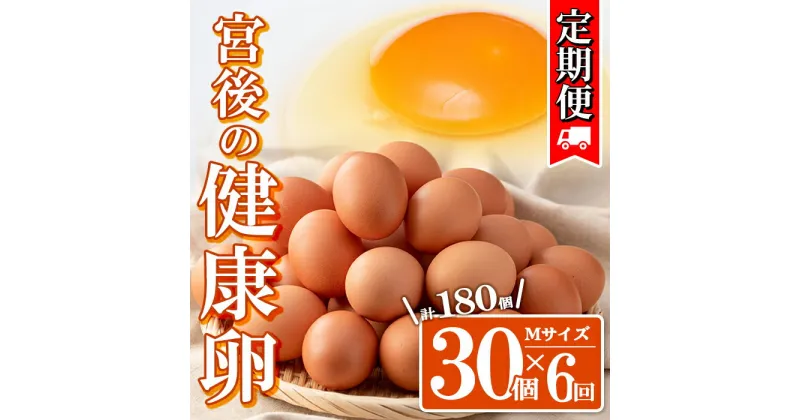 【ふるさと納税】＜定期便・全6回＞産地直送！さつま町の豊かな自然の中で育った宮後の健康卵！(Mサイズ・計180個 30個×6回) 鹿児島 国産 九州産 産地直送 産直 たまご 卵 鶏卵 卵かけご飯 卵焼き【宮後養鶏】