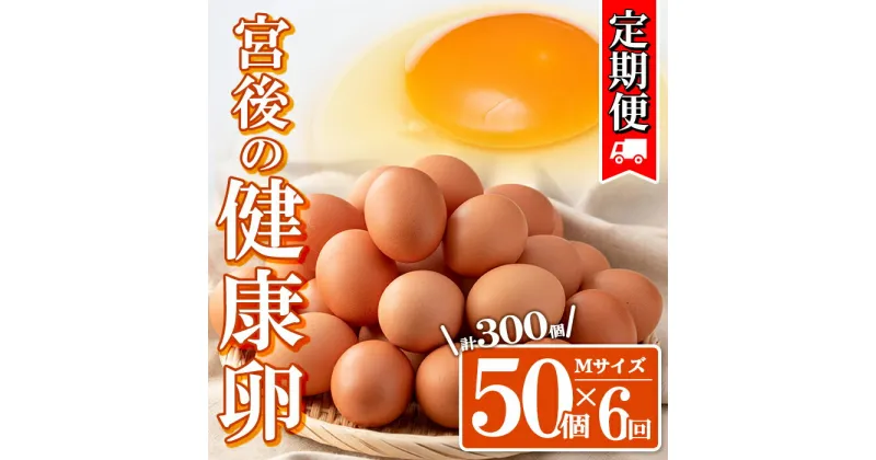 【ふるさと納税】＜定期便・全6回＞産地直送！さつま町の豊かな自然の中で育った宮後の健康卵！(Mサイズ・計300個 50個×6回) 鹿児島 国産 九州産 産地直送 産直 たまご 卵 鶏卵 卵かけご飯 卵焼き【宮後養鶏】