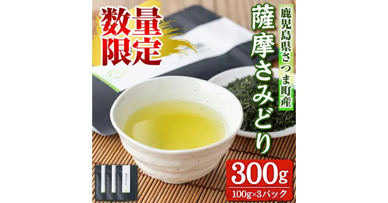 【ふるさと納税】《期間・数量限定》薩摩さみどり煎茶(煎茶100g×3袋) 鹿児島 国産 緑茶 煎茶 若蒸茶 銘茶 茶葉 お茶 日本茶 ギフト 贈答【薩摩さみどり会】