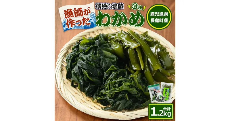 【ふるさと納税】菊栄丸の手作り湯通し塩蔵わかめセット(計1.2kg)茎わかめ 芯付わかめ 海藻 ワカメ 海 味噌汁 みそ汁【菊栄丸水産】kiku-2341