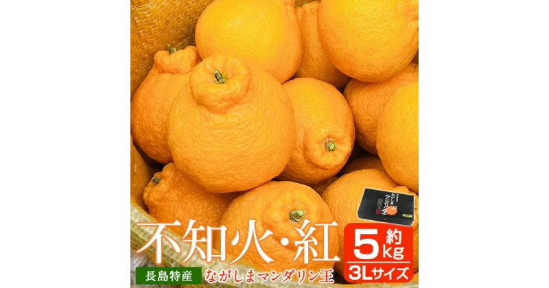 【ふるさと納税】【先行予約】ながしまマンダリン王(不知火・紅) 約5kg 2025年2月中旬より順次発送 オレンジ と ポンカン の交配 不知火 しらぬい ふるさと納税 みかん 柑橘 果物 フルーツ 国産 ふるさと 人気 ランキング 【ながしまマンダリングループ】mandarin-402-1