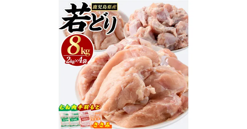 【ふるさと納税】 若どり 3種 セット むね肉 ささみ 手羽元 (計8kg) 鹿児島県産 若鶏 唐揚げ や 炭火焼 焼き鳥 サラダチキン 等 あらゆる おかず に最適 ふるさと納税 鶏肉 国産鶏 鶏むね肉 手羽 ふるさと 人気 ランキング 【まつぼっくり】matu-6100