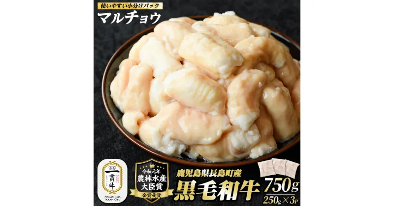 【ふるさと納税】＼ レビューキャンペーン対象品 ／ 鹿児島県産 和牛 ホルモン マルチョウ (計750g・250g×3P) 冷凍 カット済 小分け 個包装 で使いやすい 焼肉 や 鍋 に おすすめ ふるさと納税 ホルモン 黒毛和牛 牛肉 丸腸 もつ ふるさと 【宮路ファーム】f-miyaji-6049