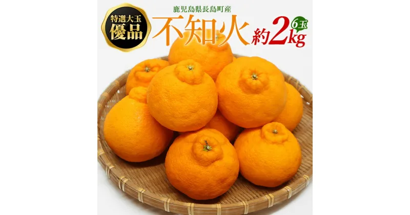 【ふるさと納税】特選大玉 優品不知火6玉入り約2kg【山上農園】yamagami-772