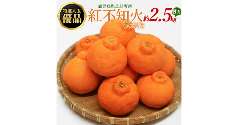 【ふるさと納税】特選大玉 優品紅不知火（大将季） 8玉入り 約2.5kg【山上農園】yamagami-777