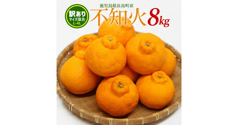 【ふるさと納税】《数量限定・訳あり品》不知火 L~4L サイズ混合 8kg 国産 鹿児島県産 長島町産 不知火 柑橘類 スイーツ おやつ 果物 フルーツ 柑橘 みかん オレンジ【山上農園】yamagami-768