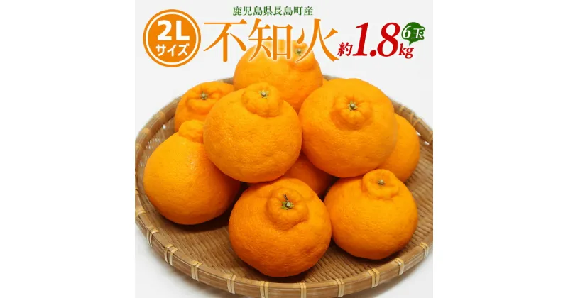 【ふるさと納税】不知火 2Lサイズ 6玉入り約1.8kg 国産 鹿児島県産 長島町産 不知火 柑橘類 スイーツ おやつ 果物 フルーツ 柑橘 みかん オレンジ【山上農園】yamagami-774