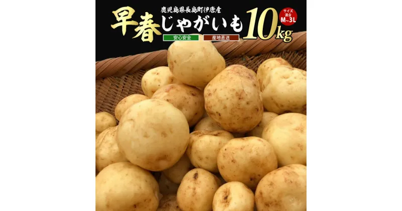 【ふるさと納税】＜数量・期間限定＞伊唐産早春じゃがいも(10kg)鹿児島県産 長島町 国産 九州産 ばれいしょ ジャガイモ 芋 いも ジャガバター ポテト サラダ 野菜 旬 赤土【旬感foods】horino-868