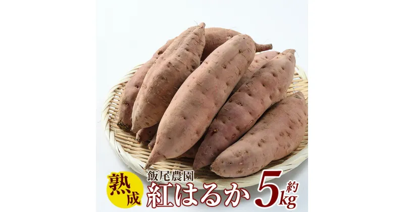 【ふるさと納税】飯尾農園 熟成 紅はるか 約5kg 芋 いも さつまいも サツマイモ 鹿児島県産 国産 長島町産 べにはるか 熟成【飯尾農園】miio-874