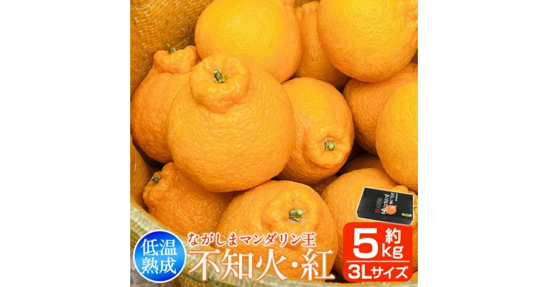 【ふるさと納税】【先行予約】低温熟成 ながしまマンダリン王( 不知火 ・紅 ) 約5kg 2025年4月より順次発送 オレンジ と ポンカン の交配 しらぬい ふるさと納税 みかん 柑橘 果物 フルーツ 国産 ふるさと 人気 ランキング【ながしまマンダリングループ】mandarin-1072-1