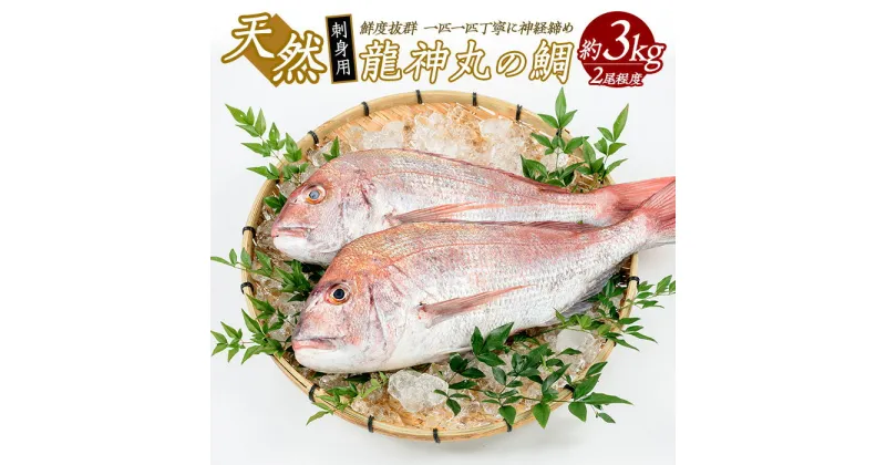 【ふるさと納税】龍神丸水産の鯛 刺身用(約3kg) 鹿児島県産 国産 長島町産 タイ 鯛 刺身 天然 海産物 不知火海 冷蔵【龍神丸水産】ryujin-1203