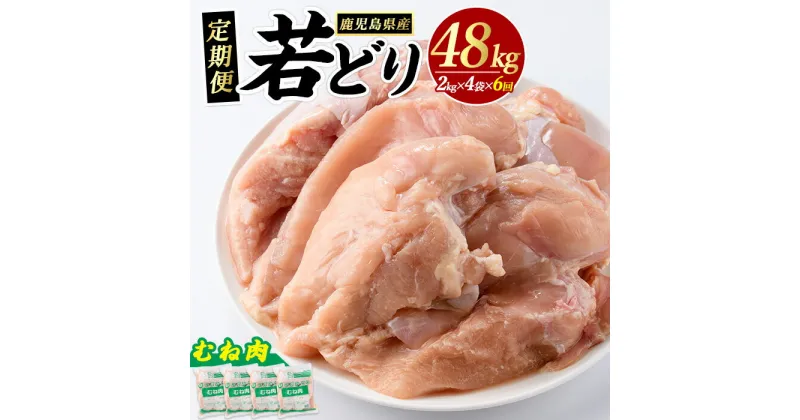 【ふるさと納税】＜定期便・全6回＞まつぼっくり 若どりムネ肉(計48kg・8kg×6回)【まつぼっくり】matu-1167