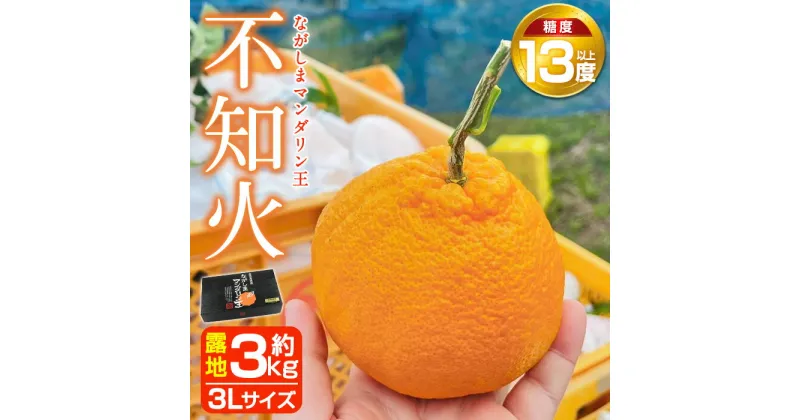 【ふるさと納税】【先行予約】ながしまマンダリン王露地(不知火・紅)約3kg！国産 長島 果物 フルーツ 柑橘 みかん オレンジ おやつ セット 詰め合わせ【ながしまマンダリングループ】mandarin-1263