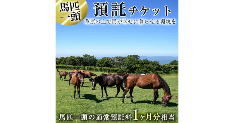 【ふるさと納税】預託チケット！馬匹一頭の通常預託料1ヶ月分に相当するチケット(1枚) 馬 競走馬 競馬 乗馬 乗用馬 預託【NPO法人ホーストラスト】