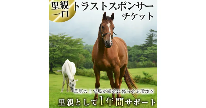 【ふるさと納税】馬主のいない馬を助けたい！トラストスポンサーチケット(1枚) 里親として1年間サポートするシステムです 馬 競走馬 競馬 乗馬 乗用馬 里親 ペット サポート【NPO法人ホーストラスト】