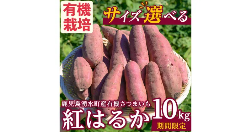 【ふるさと納税】≪サイズ選べる・期間/数量限定≫湧水町産有機さつまいも「紅はるか」(計10kg) 国産 九州産 鹿児島産 有機栽培 サツマイモ 生芋 芋 焼き芋 やきいも べにはるか ミニ ミニサイズ 天ぷら おかず 野菜 おやつ スイーツ 旬 常温 常温保存【そのやま農園】