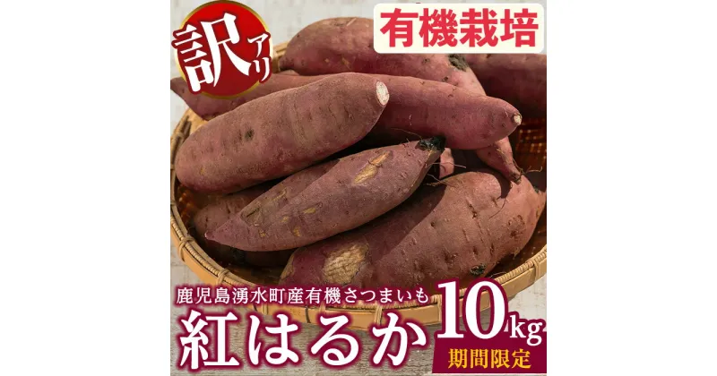 【ふるさと納税】≪訳あり・期間/数量限定≫湧水町産有機さつまいも 紅はるか(10kg) 国産 九州産 鹿児島産 有機栽培 サツマイモ 生芋 芋 紅春香 べにはるか 焼き芋 天ぷら おかず 野菜 やさい 旬 傷 訳アリ わけあり 常温 常温保存【そのやま農園】