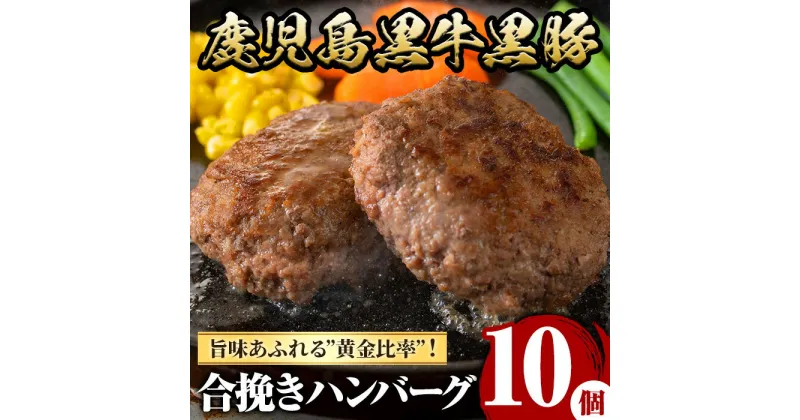 【ふるさと納税】鹿児島黒牛黒豚ハンバーグ(10個・計1.3kg) 国産 九州産 鹿児島県産 お肉 ぶた ブタ 豚肉 牛肉 ミンチ パック 小分け 冷凍 冷凍ハンバーグ 定期便 頒布会 毎月 全3回 おかず 惣菜 調理 お弁当 【さつま屋産業】