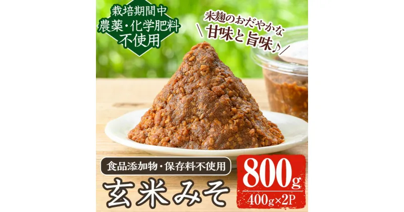 【ふるさと納税】《数量限定》玄米味噌(計800g・400g×2パック) 味噌 玄米味噌 大豆 麹 こうじ みそ汁 味噌汁 野菜炒め 田楽 化学肥料不使用 農薬不使用 有機 有機農業 有機肥料【雲月農園】