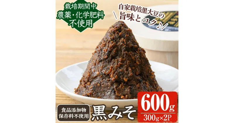 【ふるさと納税】《数量限定》黒味噌(黒米麹と黒大豆)計600g(300g×2パック) 味噌 黒味噌 黒大豆 大豆 田楽 和え物 黒米麹 麹 こうじ みそ汁 味噌汁 有機 有機農業 有機肥料 【雲月農園】