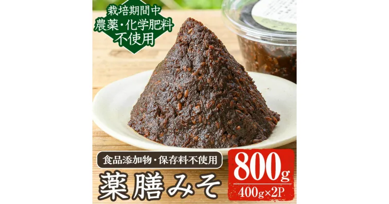 【ふるさと納税】《数量限定》薬膳味噌(ハトムギ味噌)(計800g・400g×2パック) 味噌 麦味噌 自家栽培 ハトムギ 玄米麹 ハトムギ麹 麦麹 麹 こうじ 玄米 大豆 黒大豆 みそ汁 味噌汁 化学肥料不使用 農薬不使用 有機 有機農業 有機肥料【雲月農園】