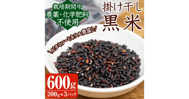 【ふるさと納税】《栽培期間中農薬化学肥料不使用》掛け干し黒米(計600g・200g×3パック) 国産 九州産 鹿児島産 湧水町産 黒米 お米 米 おこめ 600g 化学肥料不使用 農薬不使用 有機 有機農業 有機肥料【雲月農園】