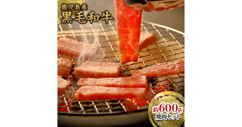 【ふるさと納税】 鹿児島黒牛 焼肉用 600g セット | ふるさと納税 黒毛和牛 和牛 国産和牛 国産牛肉 牛 肉 お肉 精肉 焼肉 焼き肉 バーベキュー BBQ 焼き肉セット モモ肉 バラ肉 ウデ肉 カタ肉 厚切り肉 特産品 名産品 鹿児島 鹿児島県 鹿児島県大崎町