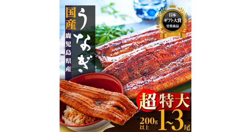 【ふるさと納税】うなぎ 超特大 鰻 長蒲焼 1尾 200g 3尾 600g | ふるさと納税 うなぎ 鰻 超特大 特大 高級 ウナギ 丑の日 国産 蒲焼 蒲焼き たれ 鹿児島 大隅 大崎町 ふるさと 人気 送料無料