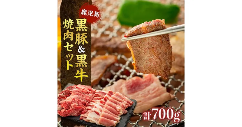 【ふるさと納税】鹿児島 黒豚 ・ 黒牛 焼肉セット | 肉 お肉 焼肉 焼き肉 セット 牛肉 焼肉用 豚肉 豚 鹿児島黒牛 焼き肉セット やきにく 牛 お取り寄せ 国産肉 グルメ ご当地 国産 和牛 詰め合わせ 鹿児島県大崎町 特産品