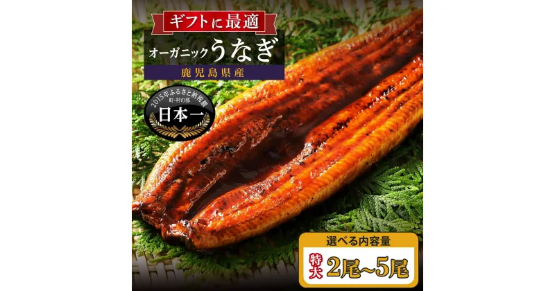 【ふるさと納税】うなぎ 高評価 4.6以上 鰻 泰正オーガニックうなぎ 長蒲焼 特大 選べる 内容量 | ふるさと納税 うなぎ 高級 ウナギ 鰻 丑の日 国産 蒲焼 蒲焼き たれ オーガニック 有機 うな丼 鰻丼 鹿児島 大隅 大崎町 ふるさと 人気 送料無料