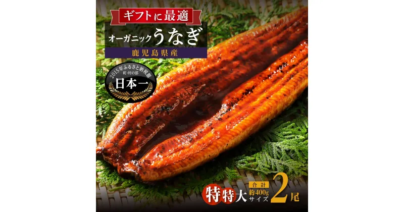 【ふるさと納税】泰正オーガニックうなぎ うなぎ 長蒲焼 特特大 2尾 400g | ふるさと納税 うなぎ 高級 ウナギ 鰻 国産 蒲焼 蒲焼き たれ 鹿児島 大隅 大崎町 ふるさと 人気 送料無料