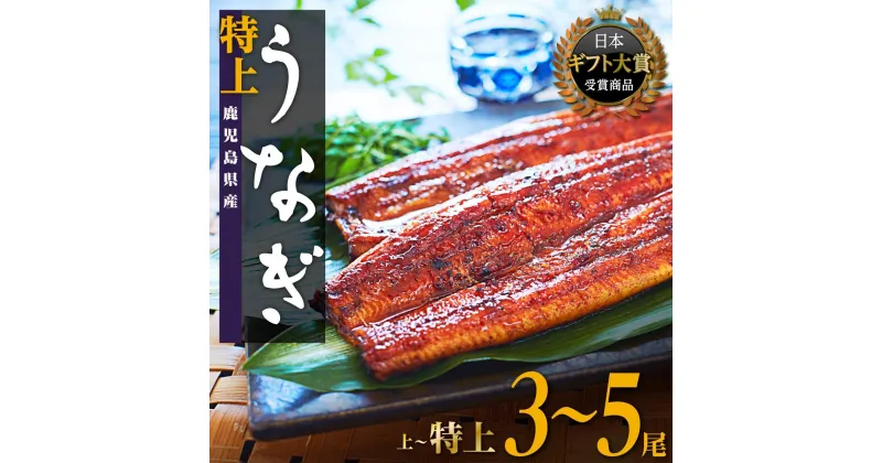 【ふるさと納税】うなぎ 総合ランキング 1位 獲得 鰻 長蒲焼3~5尾 | ふるさと納税 うなぎ 高級 ウナギ 鰻 訳あり 国産 蒲焼 蒲焼き たれ 鹿児島 大隅 大崎町 ふるさと 人気 送料無料