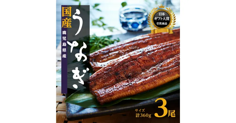 【ふるさと納税】うなぎ 高評価4.4以上 鰻 長蒲焼 3尾 360g | ふるさと納税 うなぎ 高級 ウナギ 鰻 丑の日 国産 蒲焼 蒲焼き たれ 鹿児島 大隅 大崎町 ふるさと 人気 送料無料