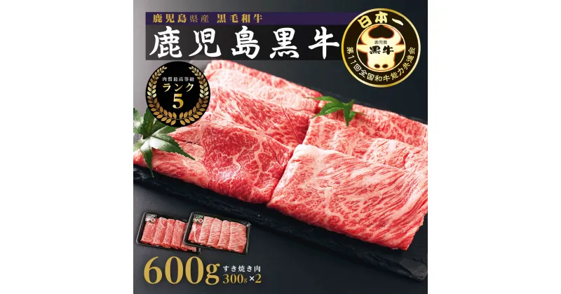 【ふるさと納税】 黒牛すきやきセット ランク5 300g × 2 計600g | ふるさと納税 和牛 高級 黒牛 牛肉 牛 肉 国産 すきやき肉 すきやき すき焼き肉 すき焼き ウデスライス 牛肩ロース 肩ロース スライス 鹿児島 大崎町 ふるさと 人気 送料無料