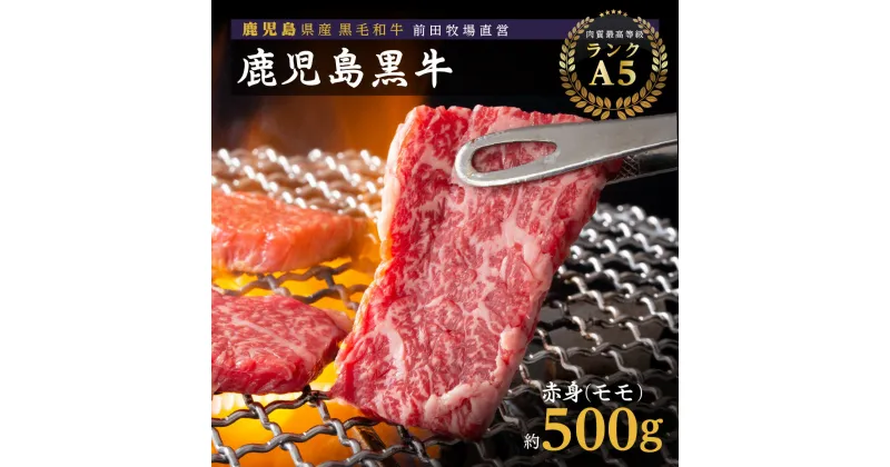 【ふるさと納税】 鹿児島県産 黒毛和牛 赤身（ モモ ） 焼肉 用 | 焼き肉 もも肉 牛モモ モモ肉 美味しい 和牛 高級 黒牛 牛肉 牛 肉 国産 赤身 鹿児島 大崎町 ふるさと 人気