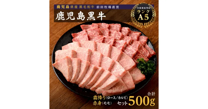 【ふるさと納税】 鹿児島県産 黒毛和牛 霜降 （ ロース ・ カルビ ） 赤身 （ モモ ）焼き肉 セット | 牛肉 焼き肉 もも肉 牛モモ モモ肉 牛ロース ロース肉 美味しい 和牛 高級 黒牛 牛 A5 肉 国産 赤身 鹿児島 大崎町 ふるさと 人気