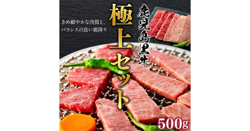 【ふるさと納税】 鹿児島黒牛 （ 焼肉 ） 極上セット 500g 1パック | ふるさと納税 焼肉 焼き肉 牛肉 セット 霜降り肉 鹿児島県産 鹿児島県大崎町