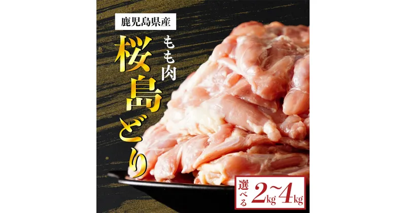 【ふるさと納税】 鹿児島県産 桜島どり 鶏もも肉 | もも肉 鳥もも肉 モモ肉 鳥もも 鶏もも 地鶏 肉 お肉 精肉 鶏肉 鶏 鳥 食品 食べ物 鳥肉 とり 鹿児島県大崎町 九州 特産品 お取り寄せ 国産 名産品 グルメ ご当地